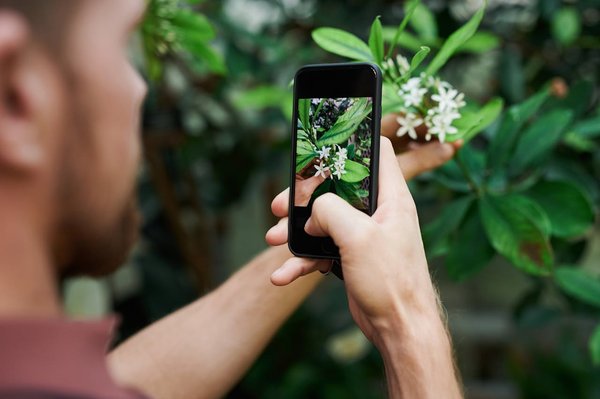 Peut-on utiliser un smartphone Android pour contrôler et surveiller un jardin intelligent ?